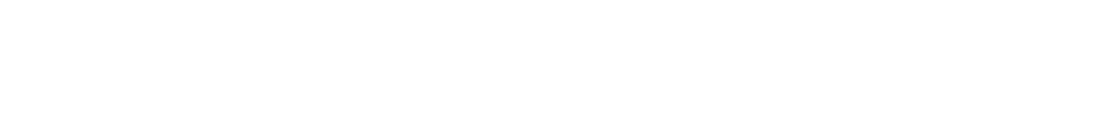 VTN GROUP